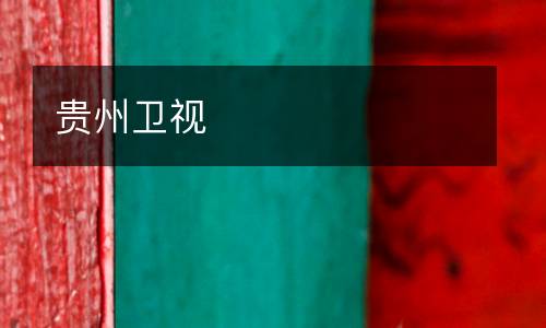 贵州卫视